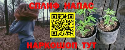 метадон Заводоуковск