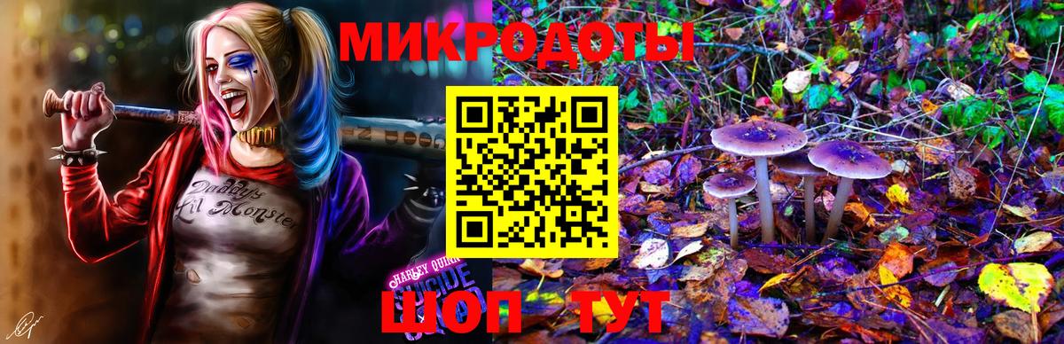 Галлюциногенные грибы Psilocybine cubensis Луга