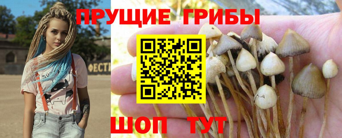 A PVP СК   Луга  Вход с VPN  ЭКСТАЗИ  ГАШ  МАРИХУАНА  ГАШ  Мефедрон   Кокаин 